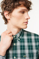 Lacoste Camisa stretch estampada xadrez para homem Verde