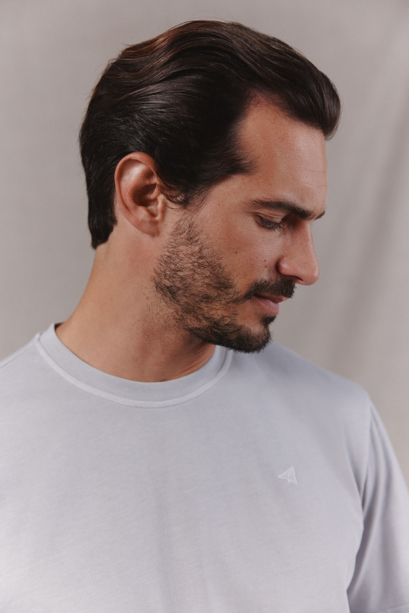 OOTO Camiseta b&aacute;sica lavada con bordado avi&oacute;n Gris